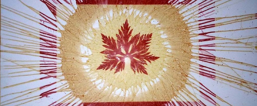 A photo made with turmeric. A red leaf sits in the middle of a light brown circle with a red box square around it. from the circle are lines which appear to look like rays coming off of a sun. 