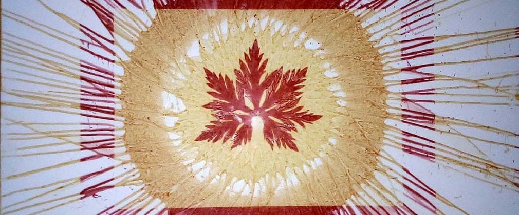 A photo made with turmeric. A red leaf sits in the middle of a light brown circle with a red box square around it. from the circle are lines which appear to look like rays coming off of a sun.