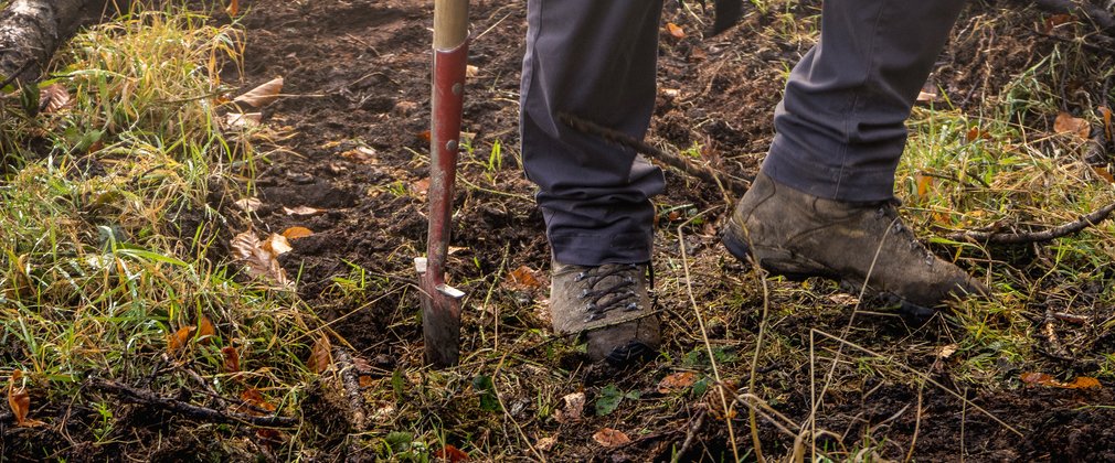 Forestry England staff planting trees