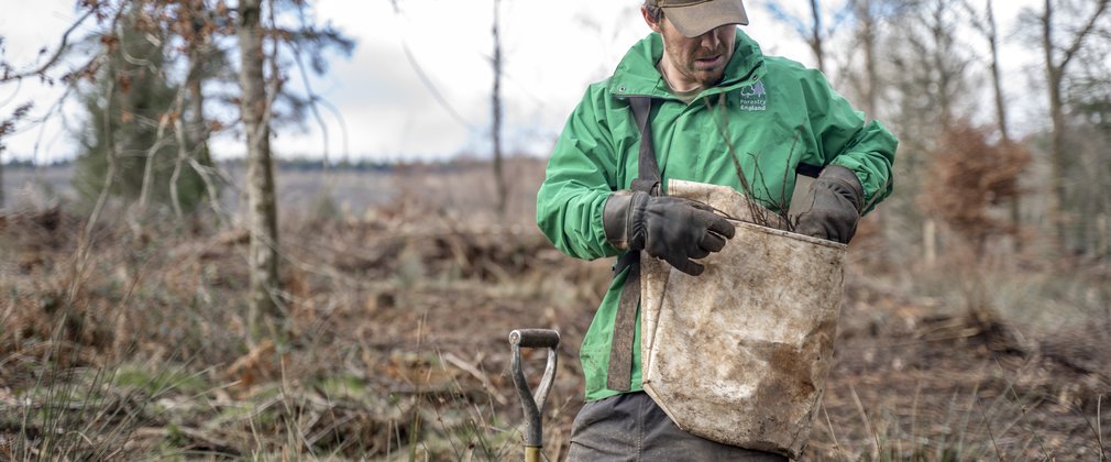 Man with bag of tree whips and a spade ready to plant