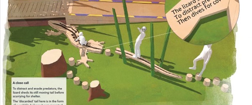 Artist's impression from Earth Wrights of play area 2 lizard area