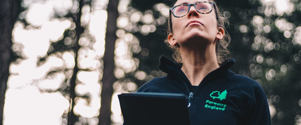 Woman looking up at trees with ipad clipboard