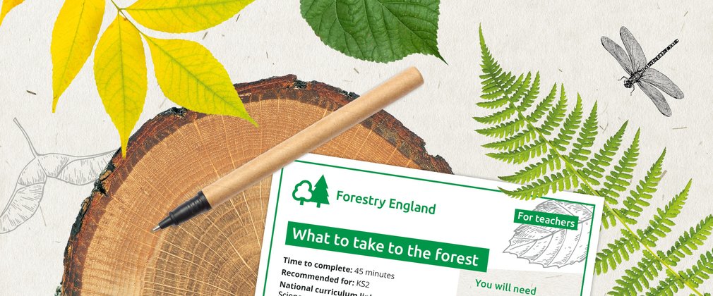 Graphic artwork banner showing different leaves, a log slice and example worksheets