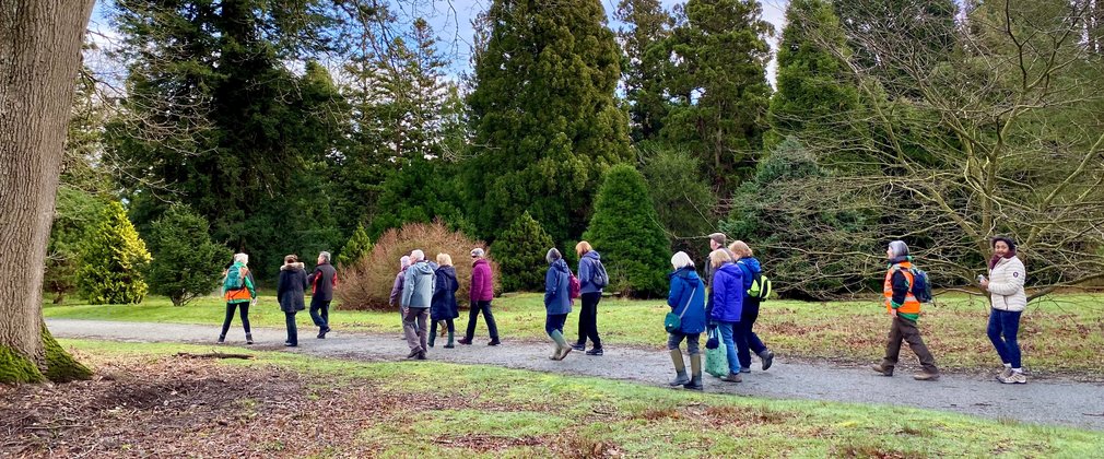 Group of 15 walkers in the National Pinetum