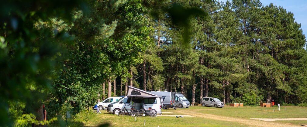 Campervans in the distance at Rendlesham campsite