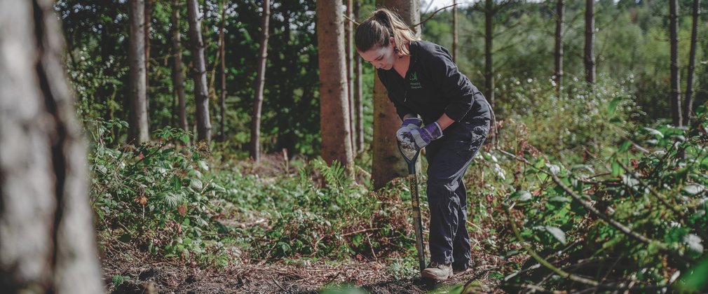 A woman with long brown hair, wearing black trousers and a black Forestry England fleece leans over a spade as she digs the ground within the forest