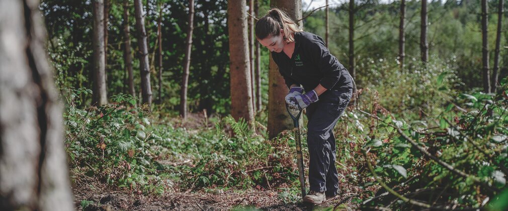 A woman with long brown hair, wearing black trousers and a black Forestry England fleece leans over a spade as she digs the ground within the forest