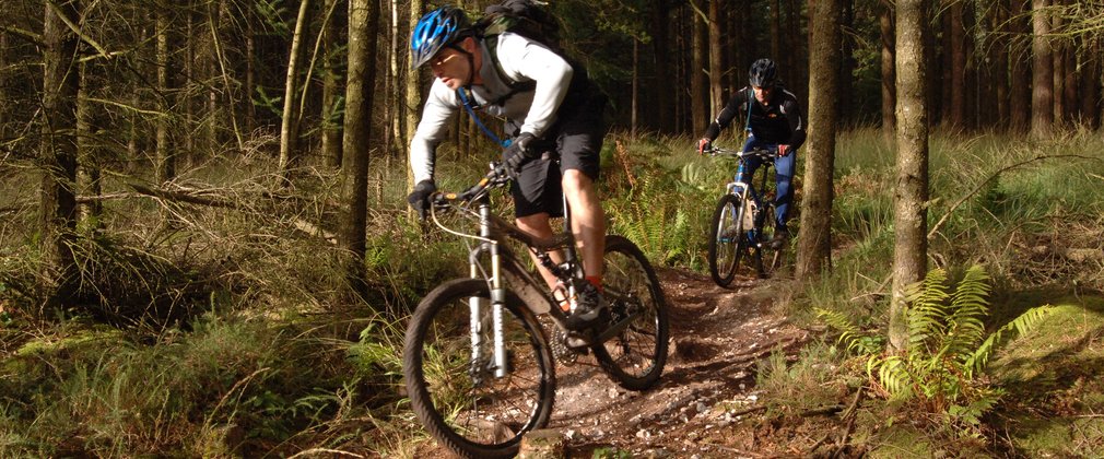 Mountain biking in the wood