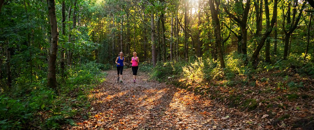 Running in the forest