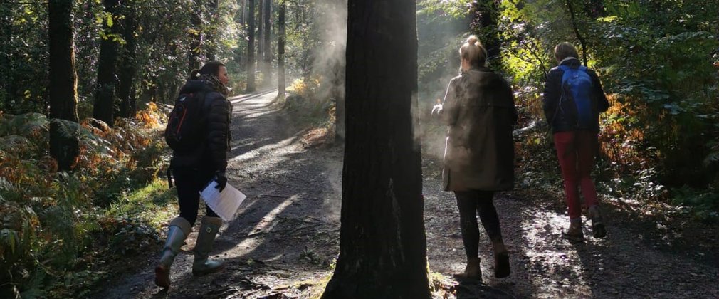 Women walking through the atmospheric woodland