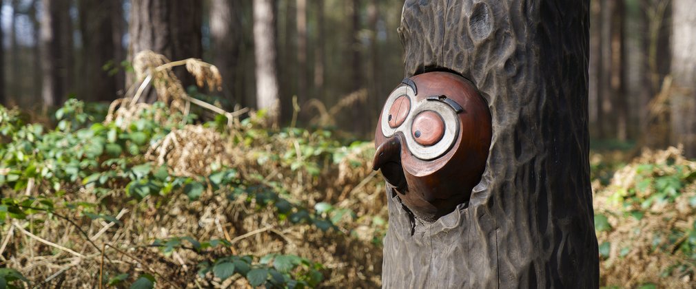 Gruffalo's friend, Owl sculpture in the forest
