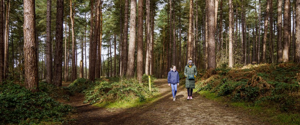 Woman and girl walking through coniferous woodland path