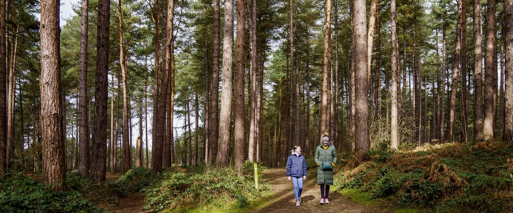 A mother and teenage daughter in winter coats walking on a trail through tall pine trees