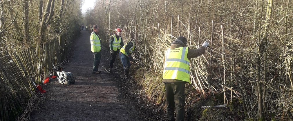 Sence Valley Volunteer Group doing tasks