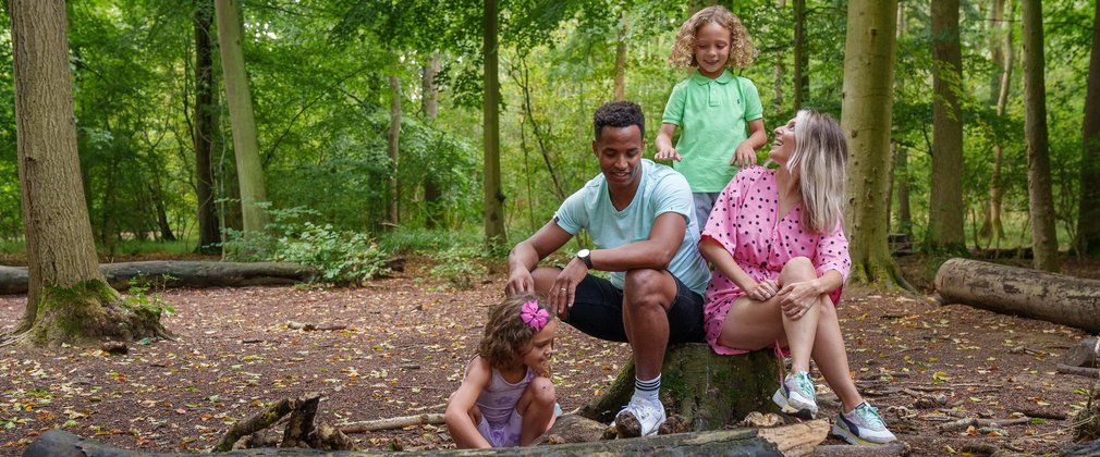 Two adults and two children in summer clothes sitting among logs and branches in the forest