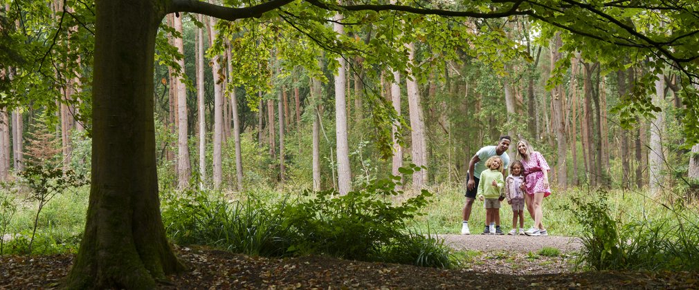 Parents and two children in summer clothes in woodland