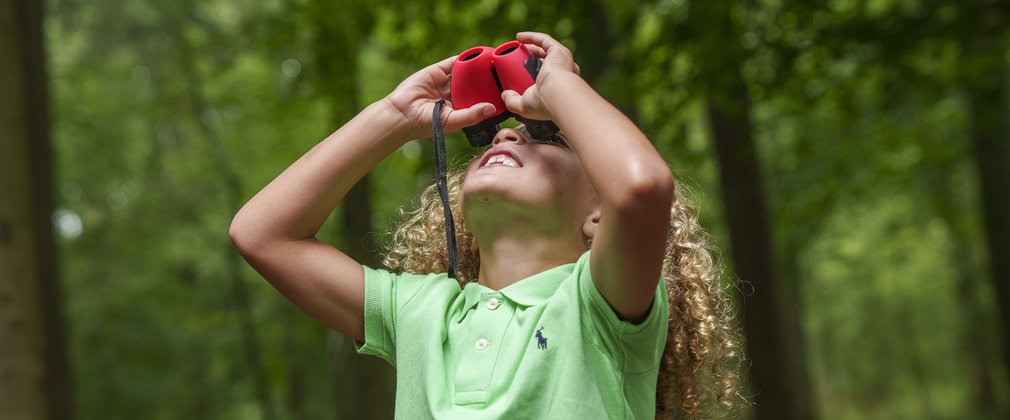 A child looking through binoculars into the trees