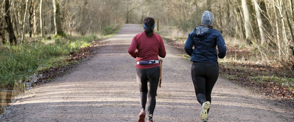 Two people running on a trail in the forest