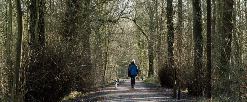 A man and his dog walking on a trail in a forest