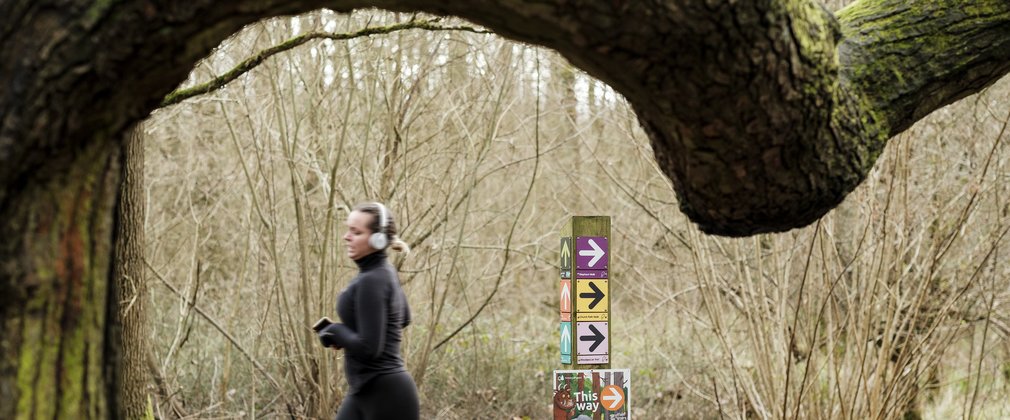 A lady running in Salcey Forest