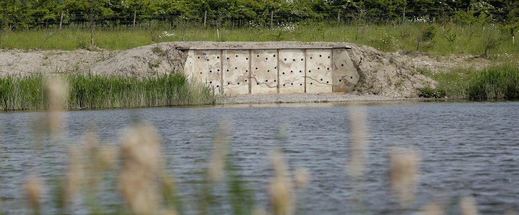 Sandmartin wall at fineshade bird hide