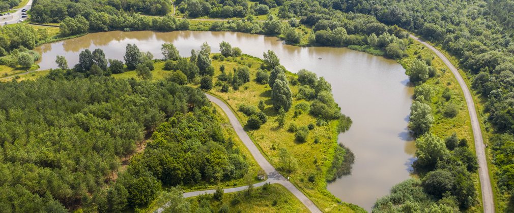 aerial view of a growing forest and river