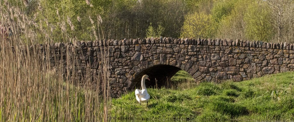 Sence Valley lake