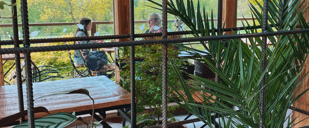 Green plants in tubs sit in the forefront looking out onto a terraced area of the restaurant