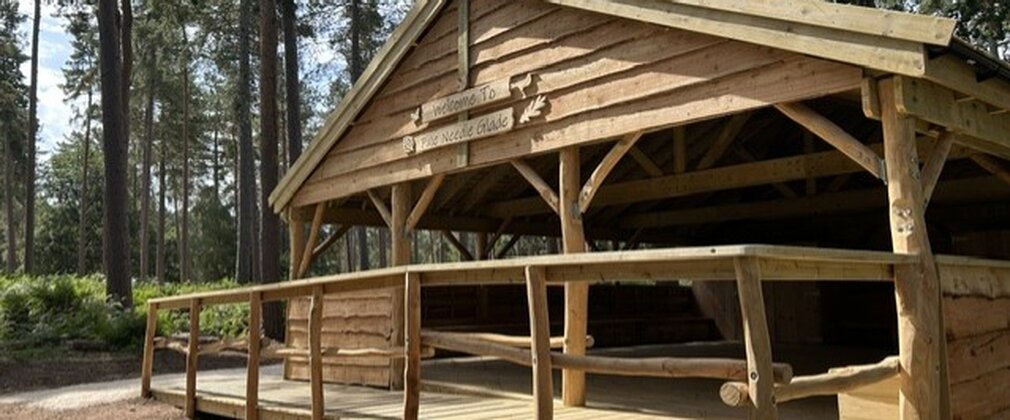 The Pine Needle Glade Shelter, in the forest