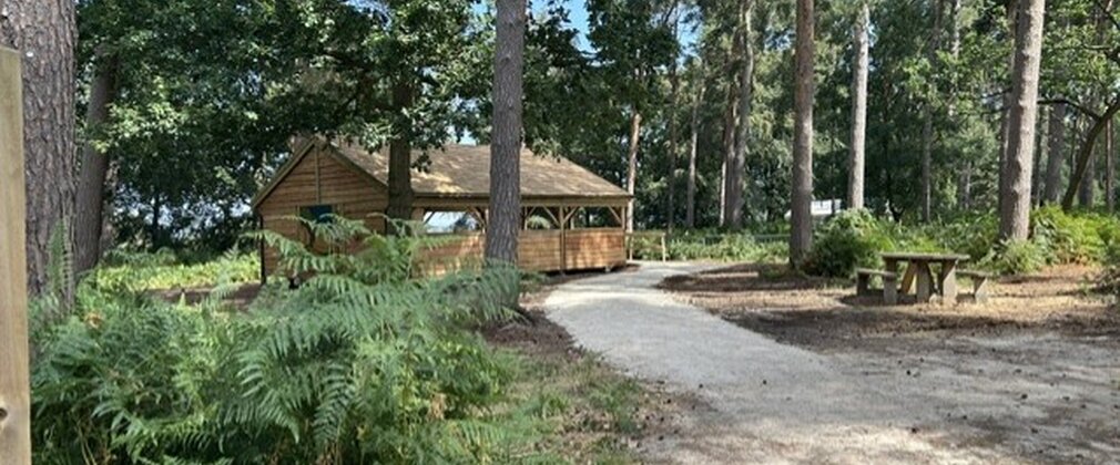 The Pine Needle Glade shelter in its wider forest setting