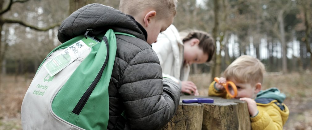 Forest Activity Bag Sherwood Pines