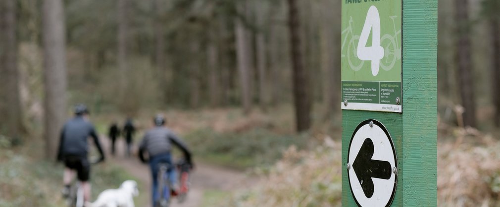The start post on the green bike trail at sherwood pines