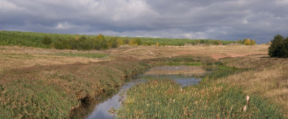 Shirebrook Wood view of lake