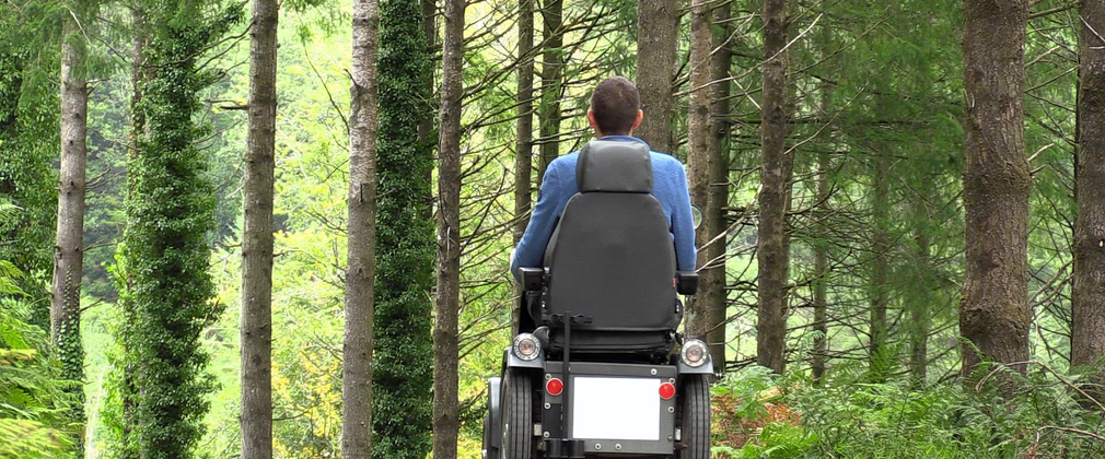 Tramper at Cardinham Woods