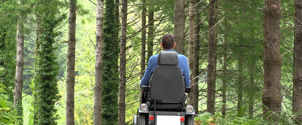 Rear view of a mobility scooter travelling along a forest track