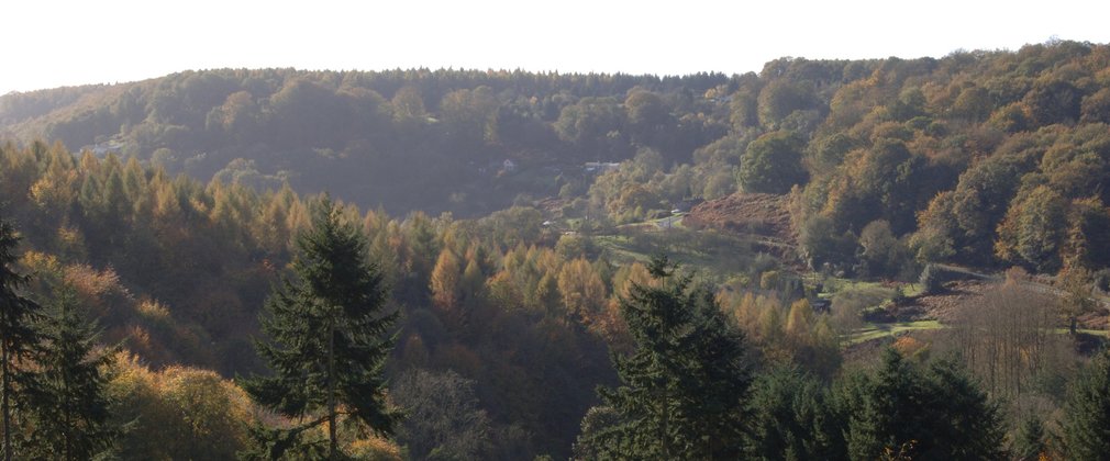 View from the Blaize Bailey drive at Soudley Ponds