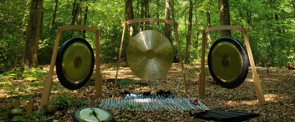 Musical instruments in the forest