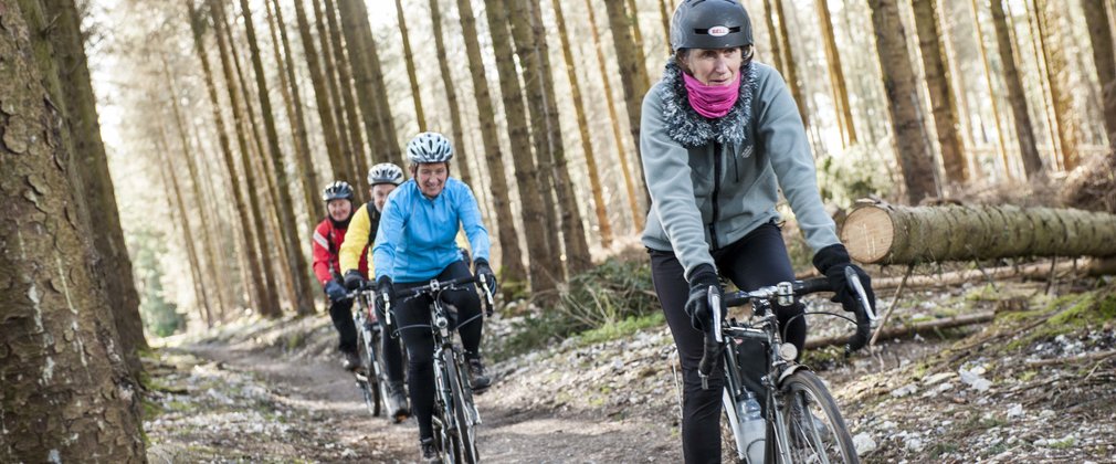 Spicers trail at Haldon