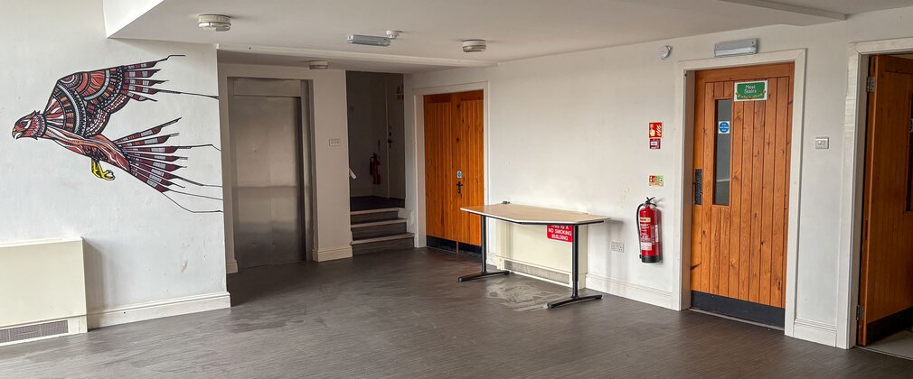An empty activity space with a bird mural on the wall