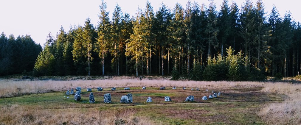 A stone circle with tall conifers behind