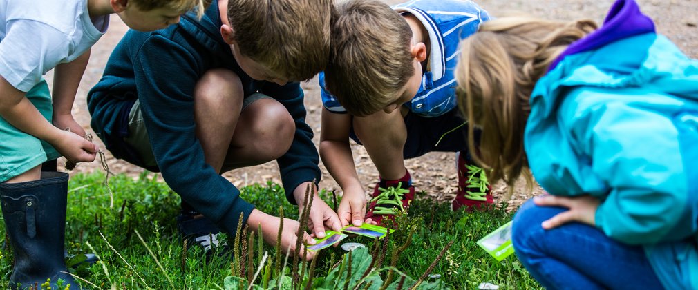Forest Find Westonbirt