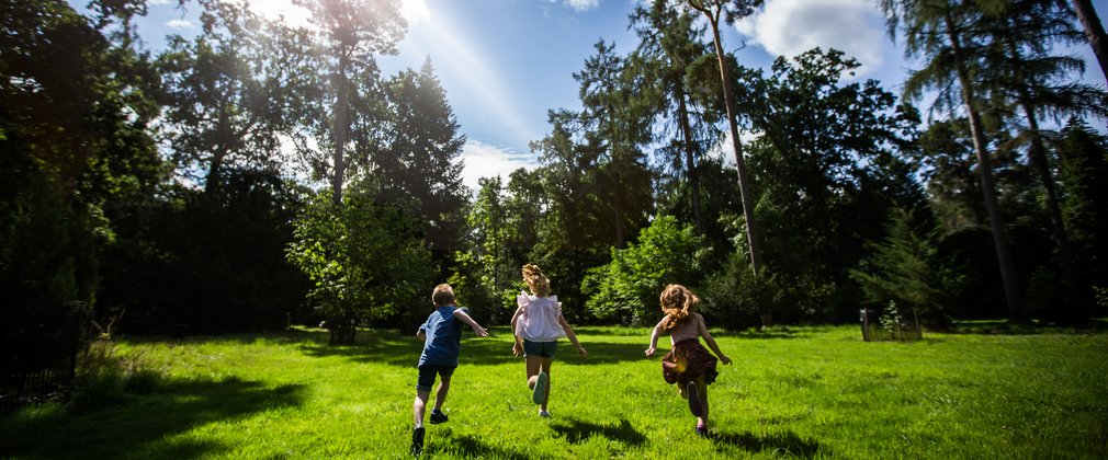 Westonbirt Summer