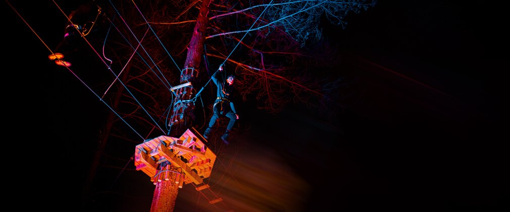 A person about to step off a platform high up in the trees, after dark
