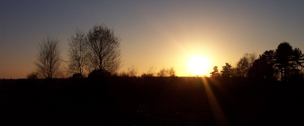 Sun setting behind silhouetted trees