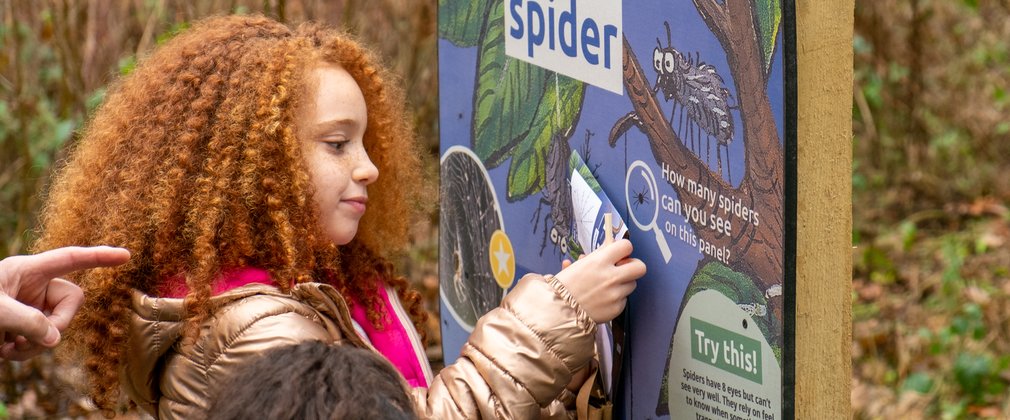 Girl looking at Superworm board in the forest