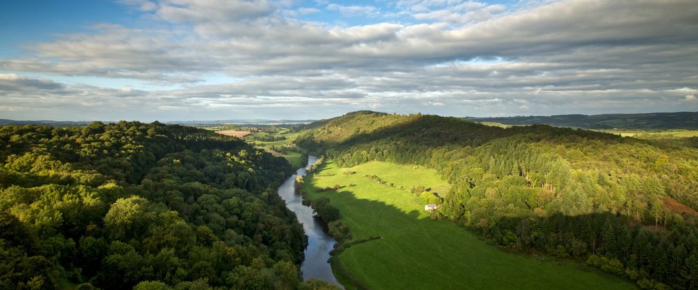 View from Symonds Yat Rock in spring