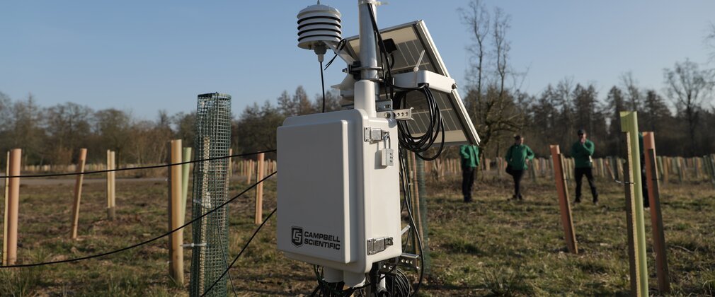 a Tree Growth Monitoring Station - the latest technology in forestry science