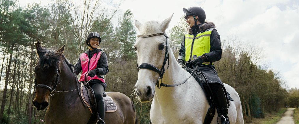 A grey horse and a brown horse in the woods with their riders