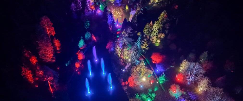 A view from above in the dark of an illuminated trail through a forest. 