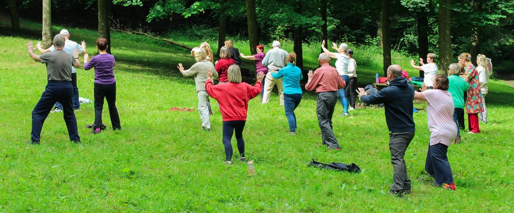 A group of people practicing Tai Chi in a forest clearing